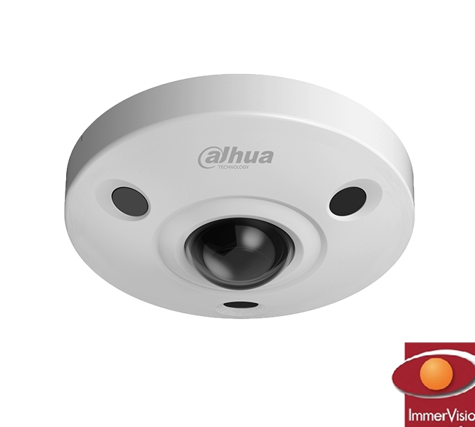6MP Panoramic IP IR Fisheye Camera with Panamorph Lens