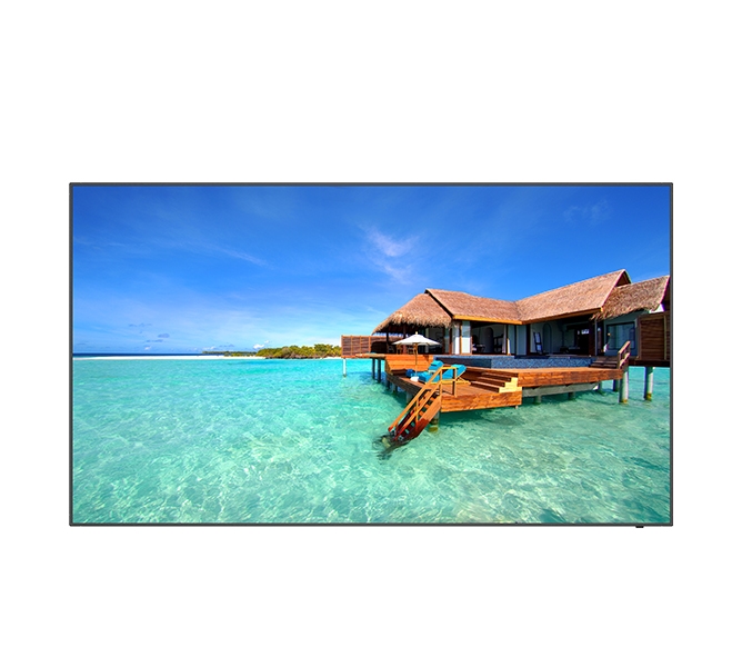 55'' Wall-mounted Digital Signage