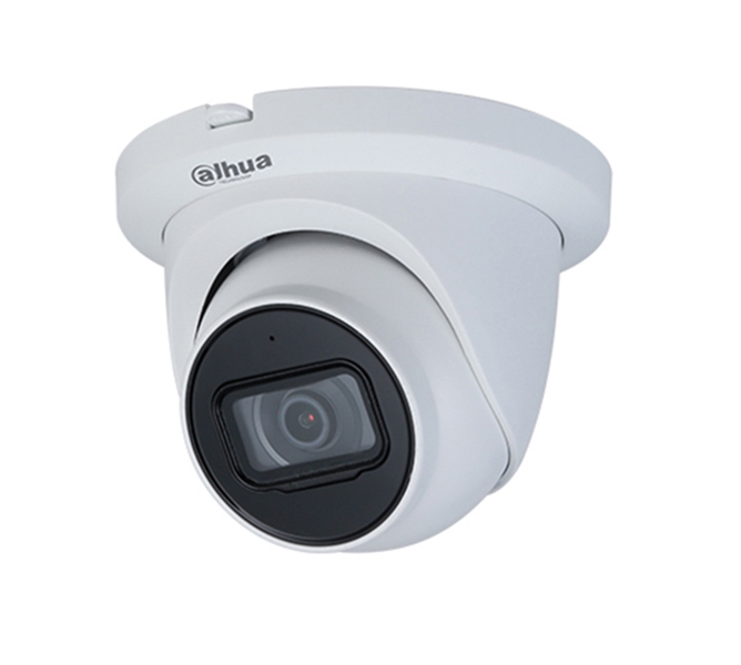 4MP IR Fixed focal Eyeball WizSense Network Camera