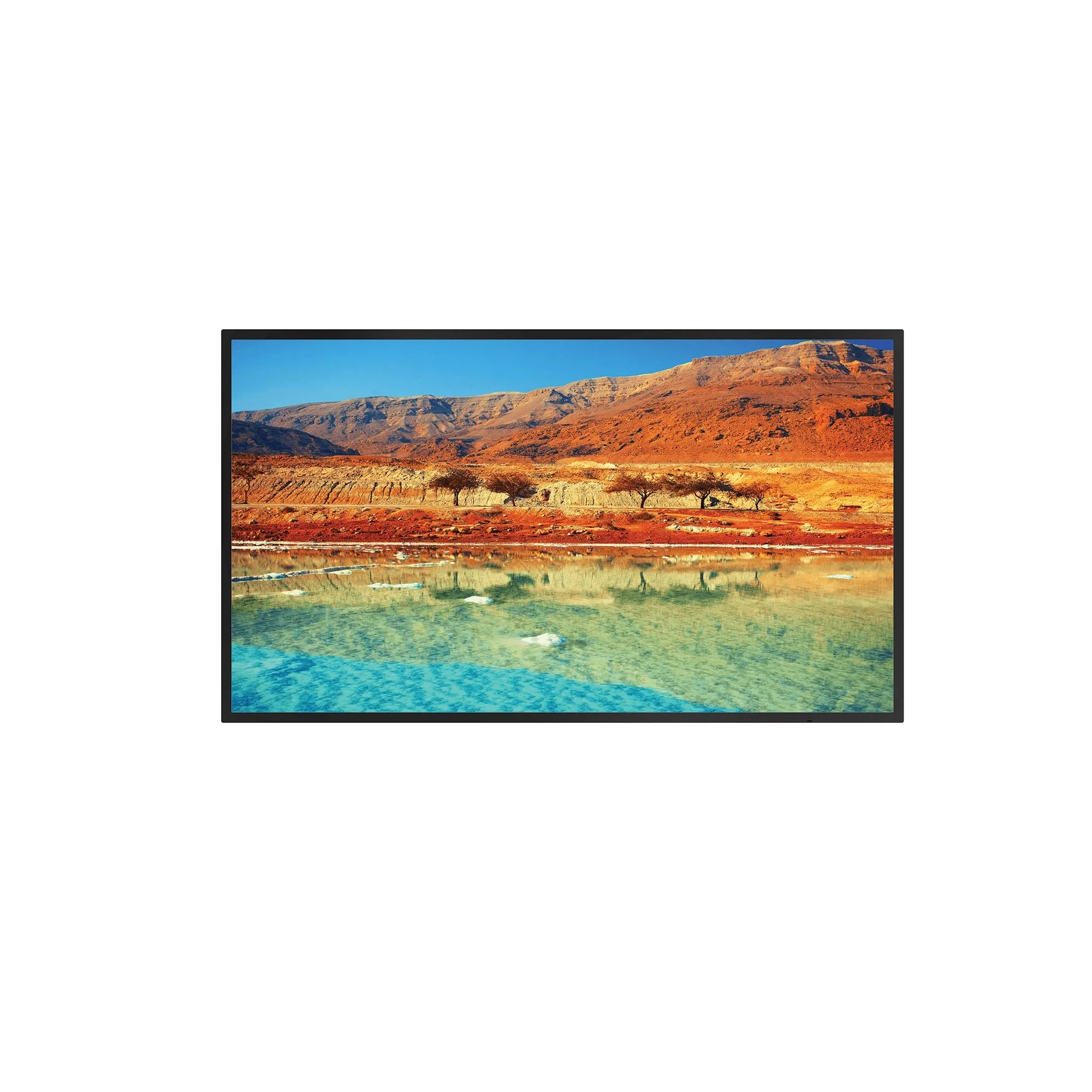 65'' UHD LED Monitör