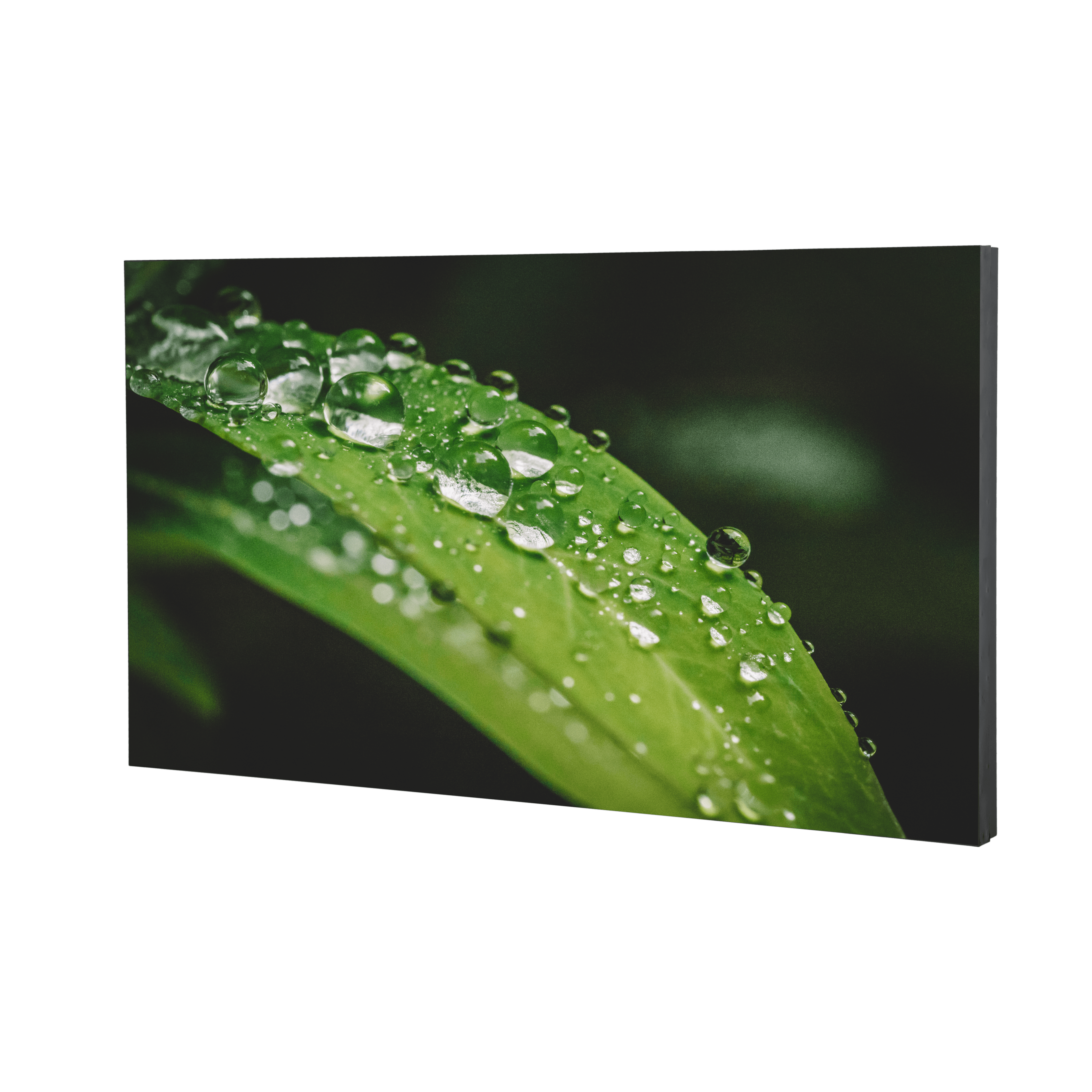 55’’ FHD Video Wall Display Unit (Ultra Narrow Bezel 1.74mm)