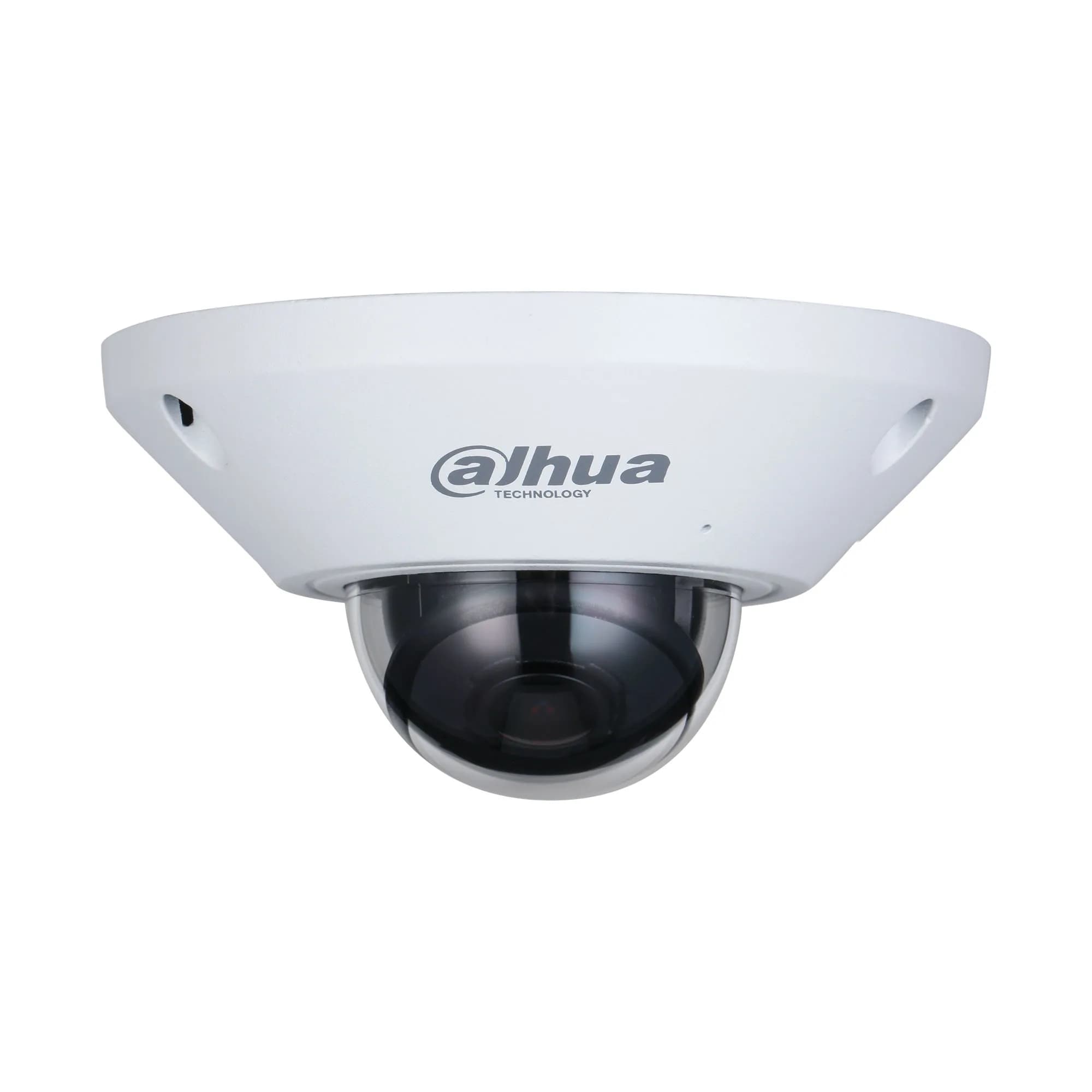 5MP WizMind Fish Eye IP Camera
